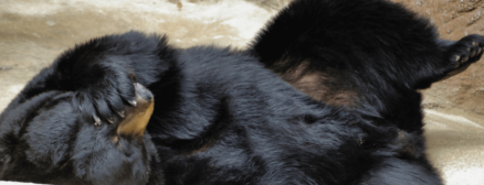 Customer Service Failures to Learn From